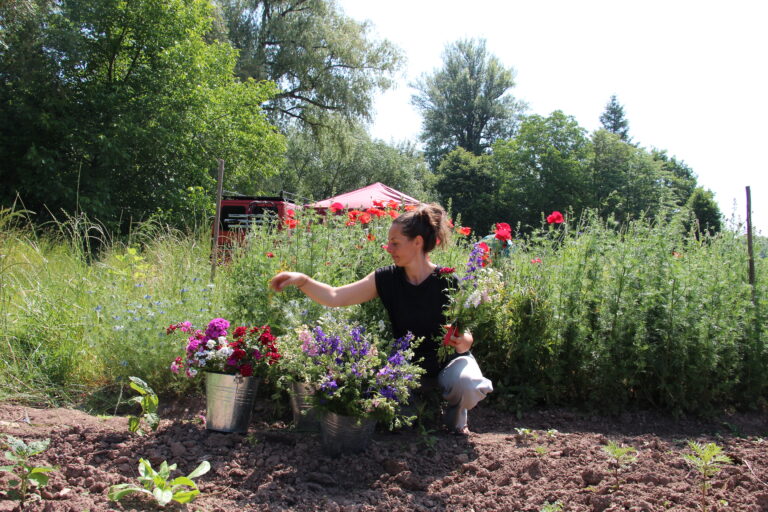 Sandra Bernstein, Inhaberin von "Blumen von Bernstein" kniet in ihrem Blumenfeld und bindet einen Blumenstrauß. Neben ihr befinden sich etliche Eimer gefüllt mit Schnittblumen.