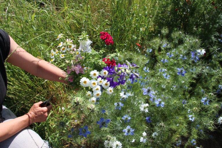 Eine Hand, welche einen schönen bunten Blumenstrauß hält, nimmt das gesamte Bild ein.