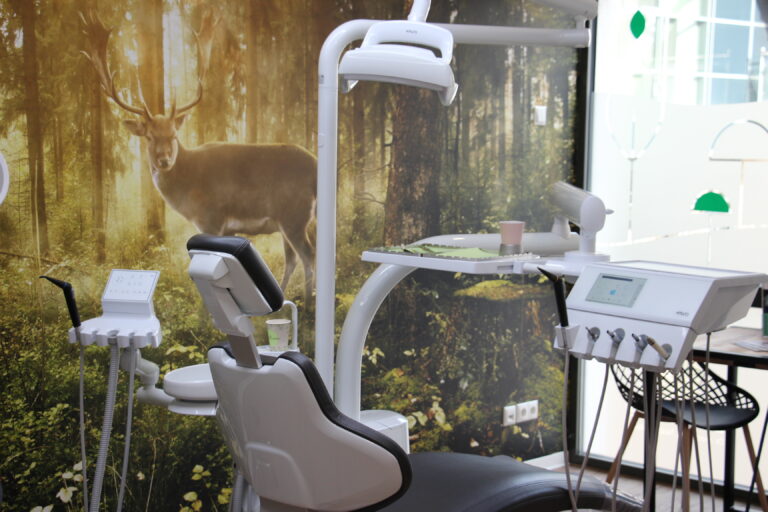 Modernes Behandlungszimmer der Zähnerie mit weißer Einheit vor einer großflächigen Wald-Fototapete mit Hirschmotiv.