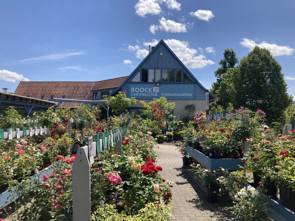 Ladenfoto von Boock Gartenkultur - Gärtnerei Boock in Jena